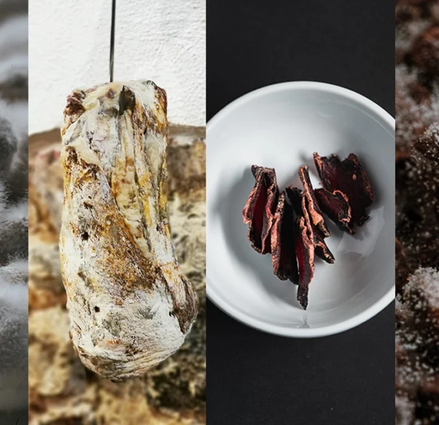 Curs de fermentació avançada: KOJI