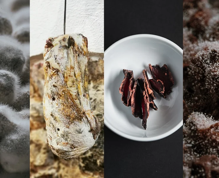 Curs de fermentació avançada: KOJI