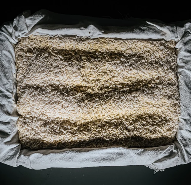 Empieza a fermentar: Instrumental & Técnicas – Ferment Project