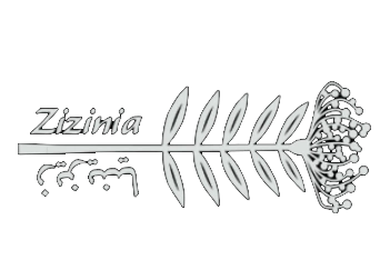 Zizinia