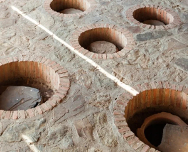 Els vins més antics del món: Kvevri Georgià – David Bea