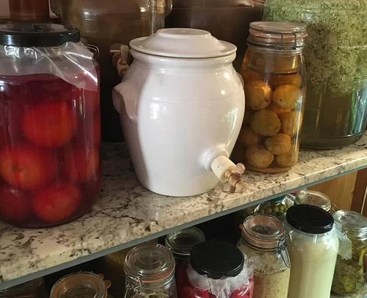 Workshop salses, vinagretes i marinats amb ferments – Gaspar Zizinia